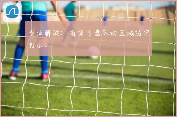 专业解读：南京飞盘队的区域防守打法_1