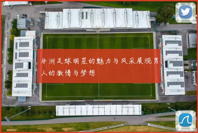 非洲足球明星的魅力与风采展现男人的激情与梦想