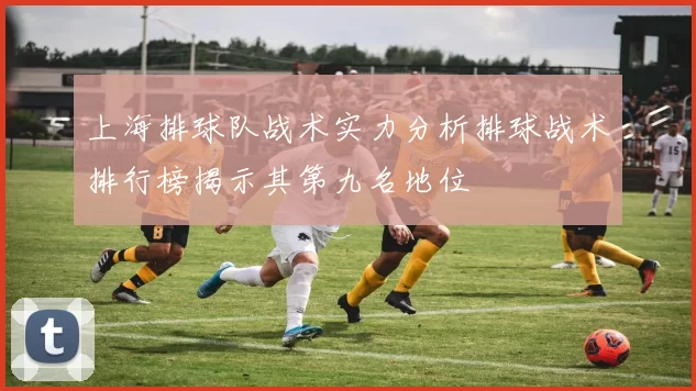 上海排球队战术实力分析排球战术排行榜揭示其第九名地位