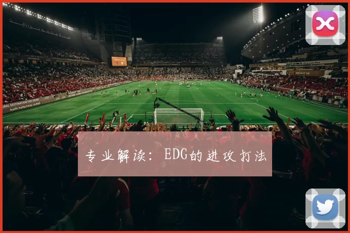 专业解读：EDG的进攻打法