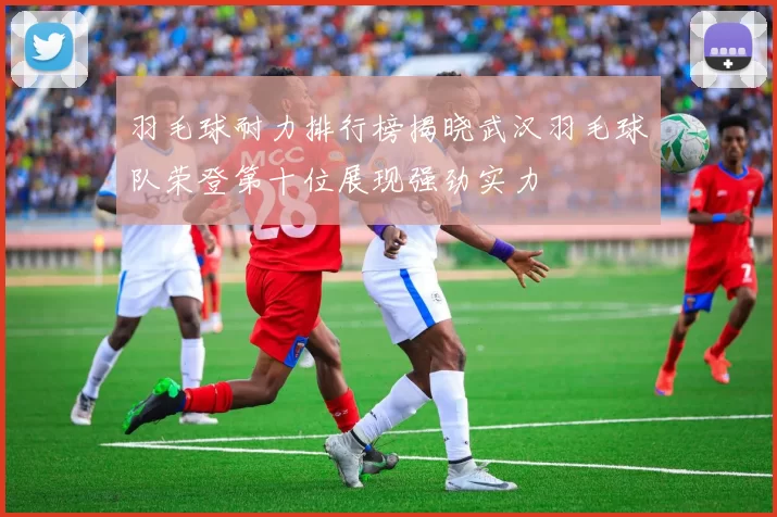 羽毛球耐力排行榜揭晓武汉羽毛球队荣登第十位展现强劲实力